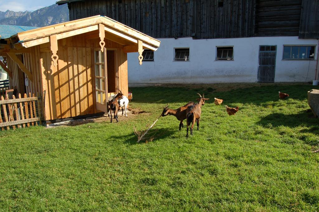 Stillinghof Saalfelden Extérieur photo